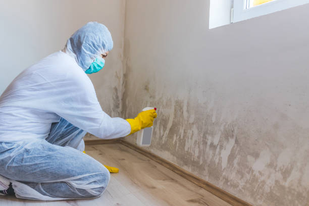 Licensed Bathroom Mold Removal service in Petersburg, MI - WQB Mold Removal