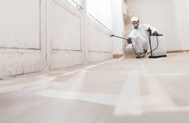 24/7 Emergency Bathroom Mold Removal experts in Petersburg, MI