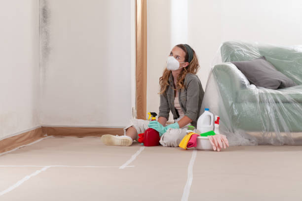 Reliable Bathroom Mold Removal contractor in Petersburg, MI by WQB Mold Removal